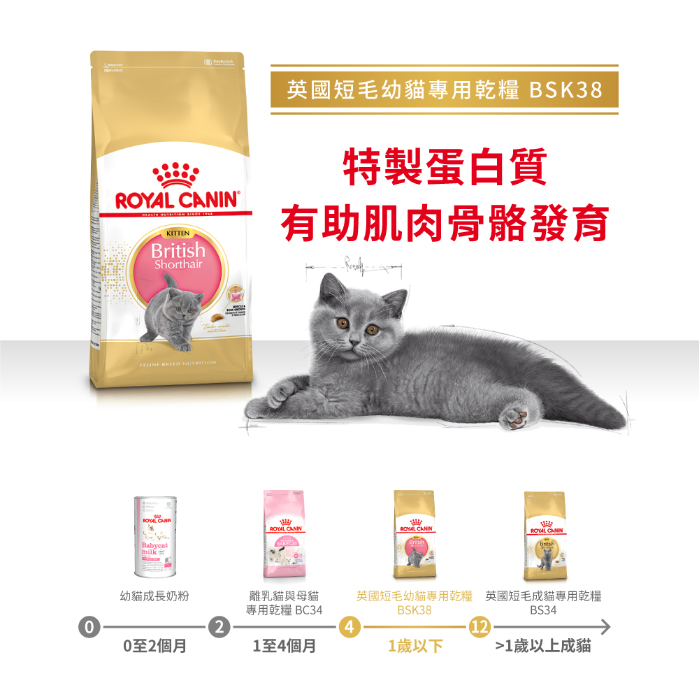 Royal Canin British Shorthair Kitten Food BSK38, , large
