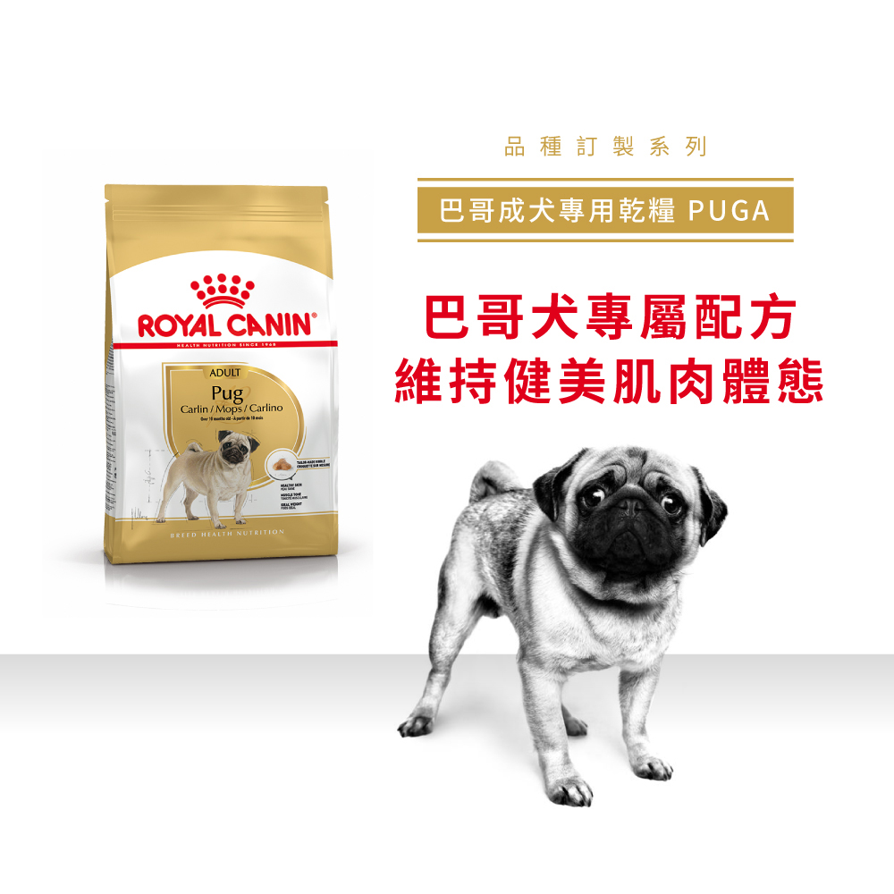 Royal Canin Pug Adult PUGA, , large