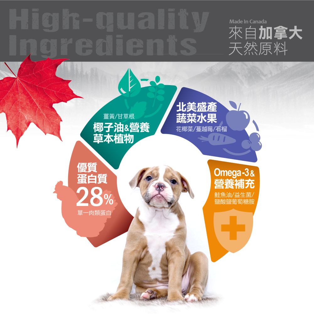 【拉拉寵物小舖】紐崔斯 貓飼料 天然系列 幼貓雞肉2.27公斤, , large