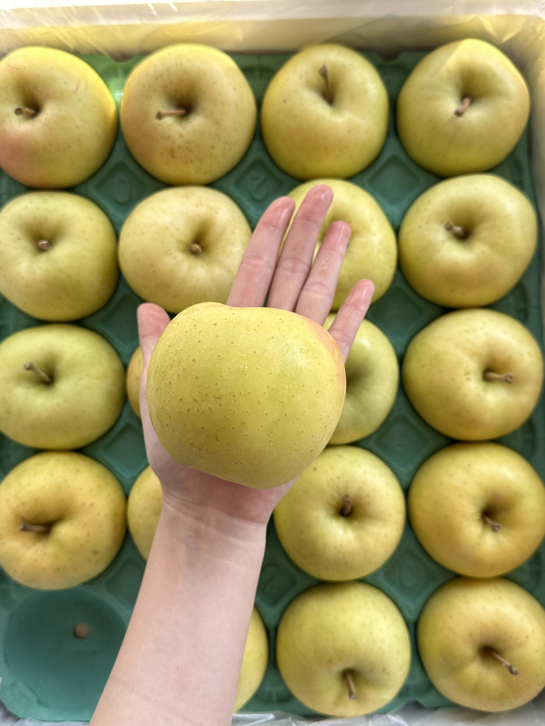 Japanese Toki Apple, , large