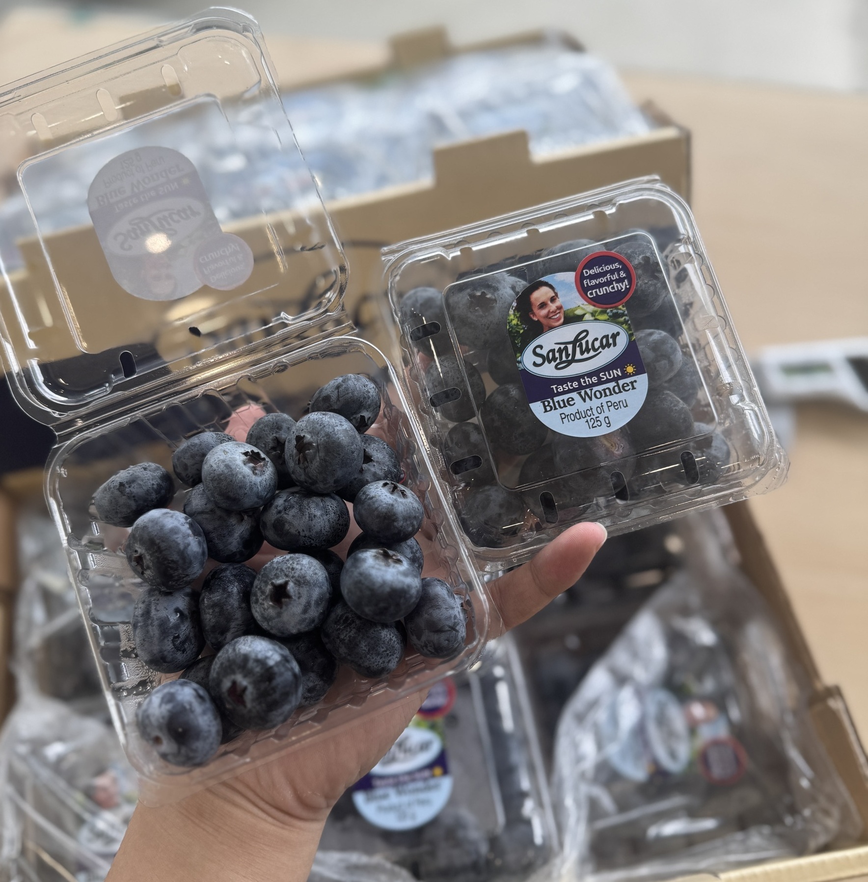 Blueberry, , large