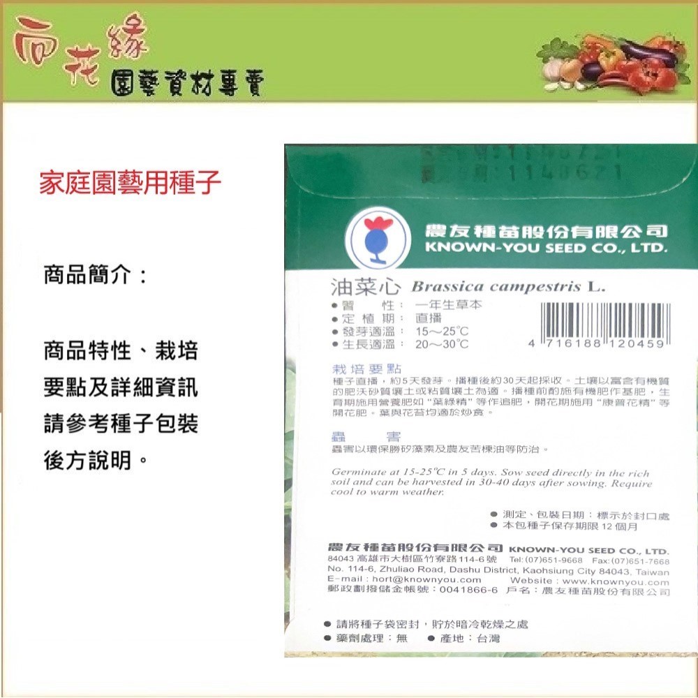 NongYou Choy Sum &ndash; Vegetable Seeds, , large