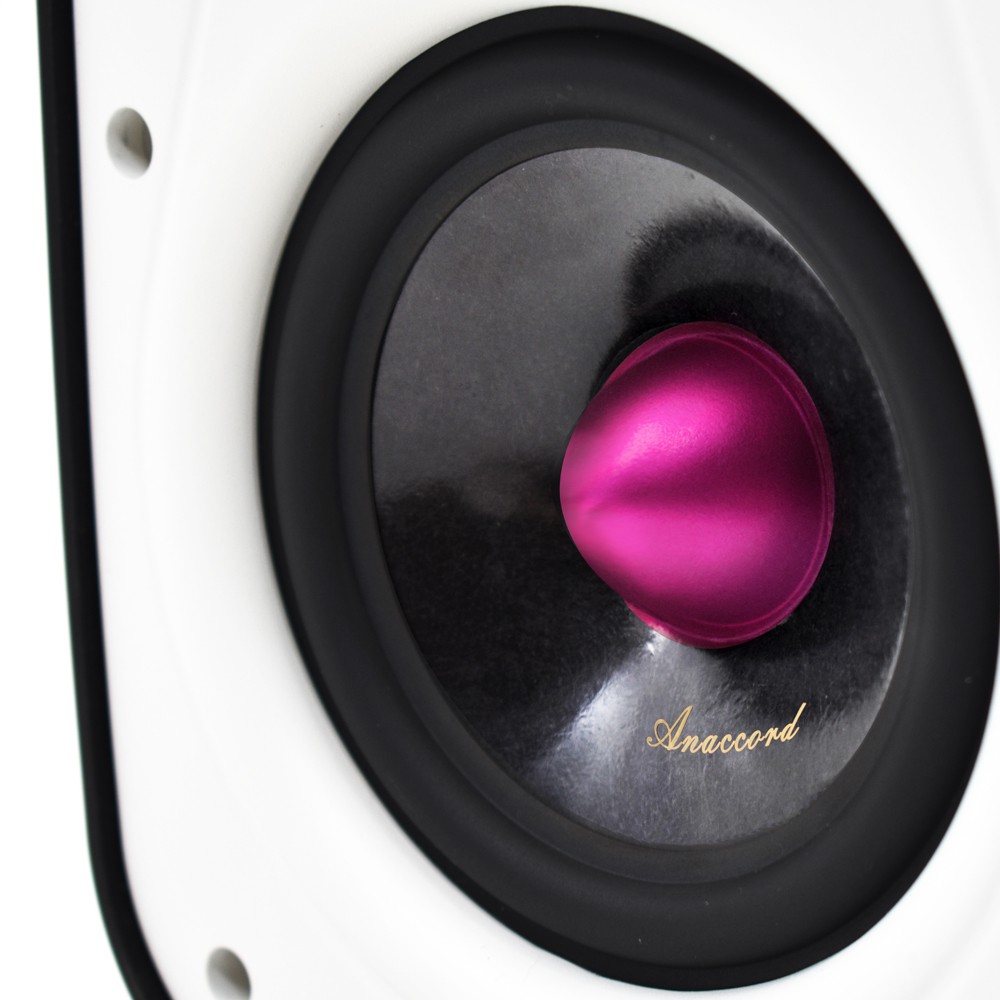 Anaccord雅那歌音響 DC-B5 5inch RUBY IPX66  waterproof desktop speakers 1pair, , large