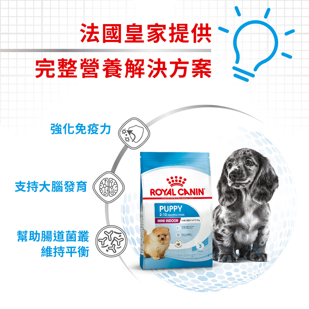 【Royal Canin法國皇家】小型室內幼犬MNINP, , large