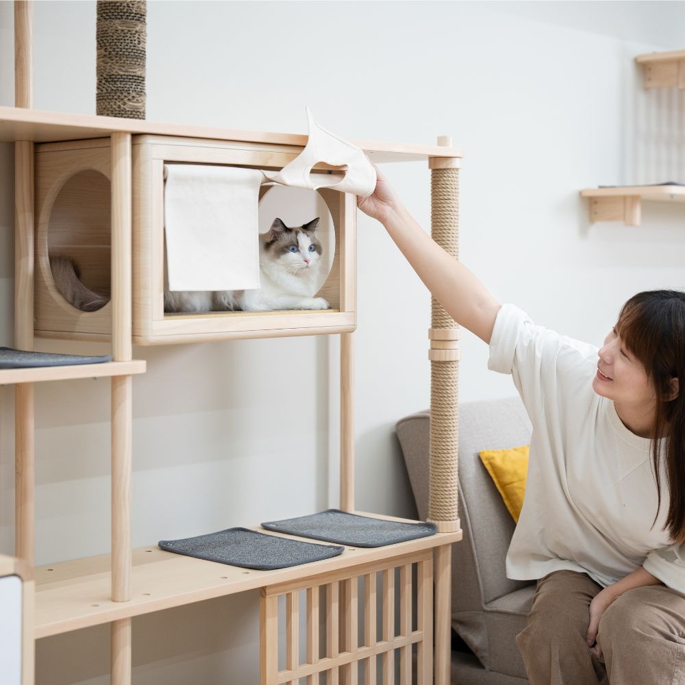 【paipaipets】Bien Bien Cat Tree - Delux, , large