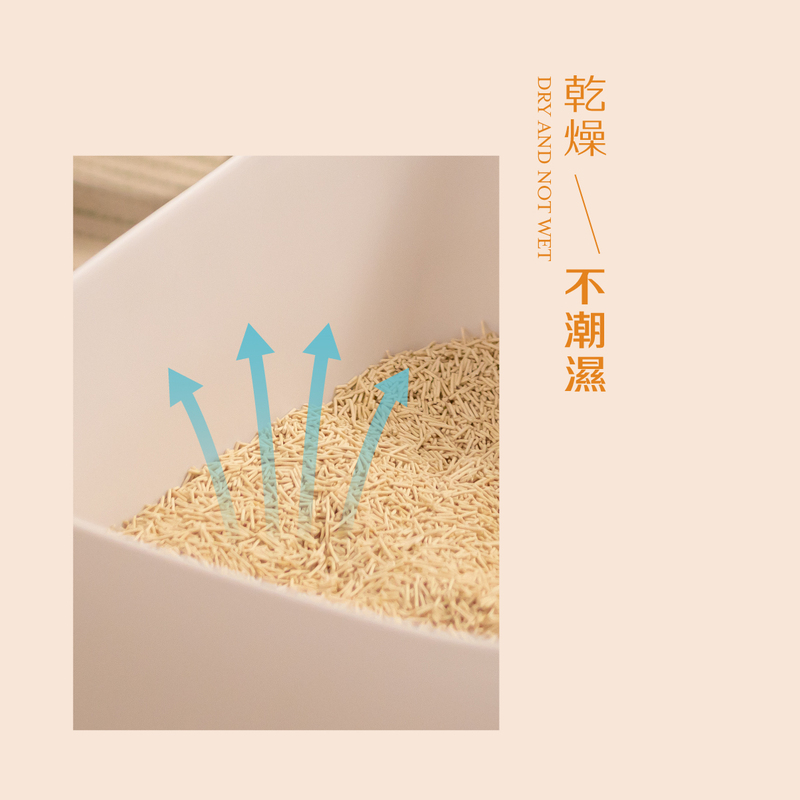 [祺城科技]O-Care【體驗組】極消臭抗菌牡蠣殼豆腐砂(2入), , large