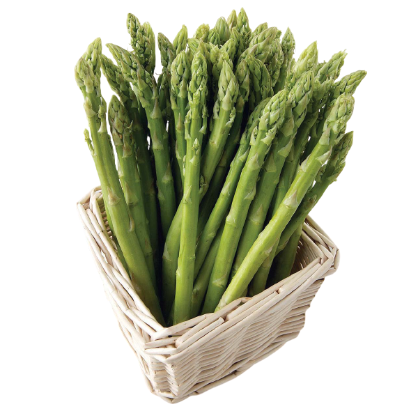 Asparagus, , large