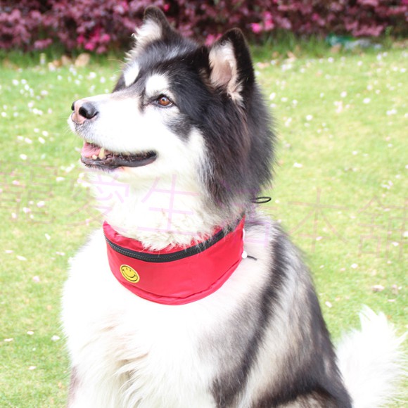 【寵愛生活本舖】中大型犬夏季防水涼感圍脖（含冰袋）素色, , large