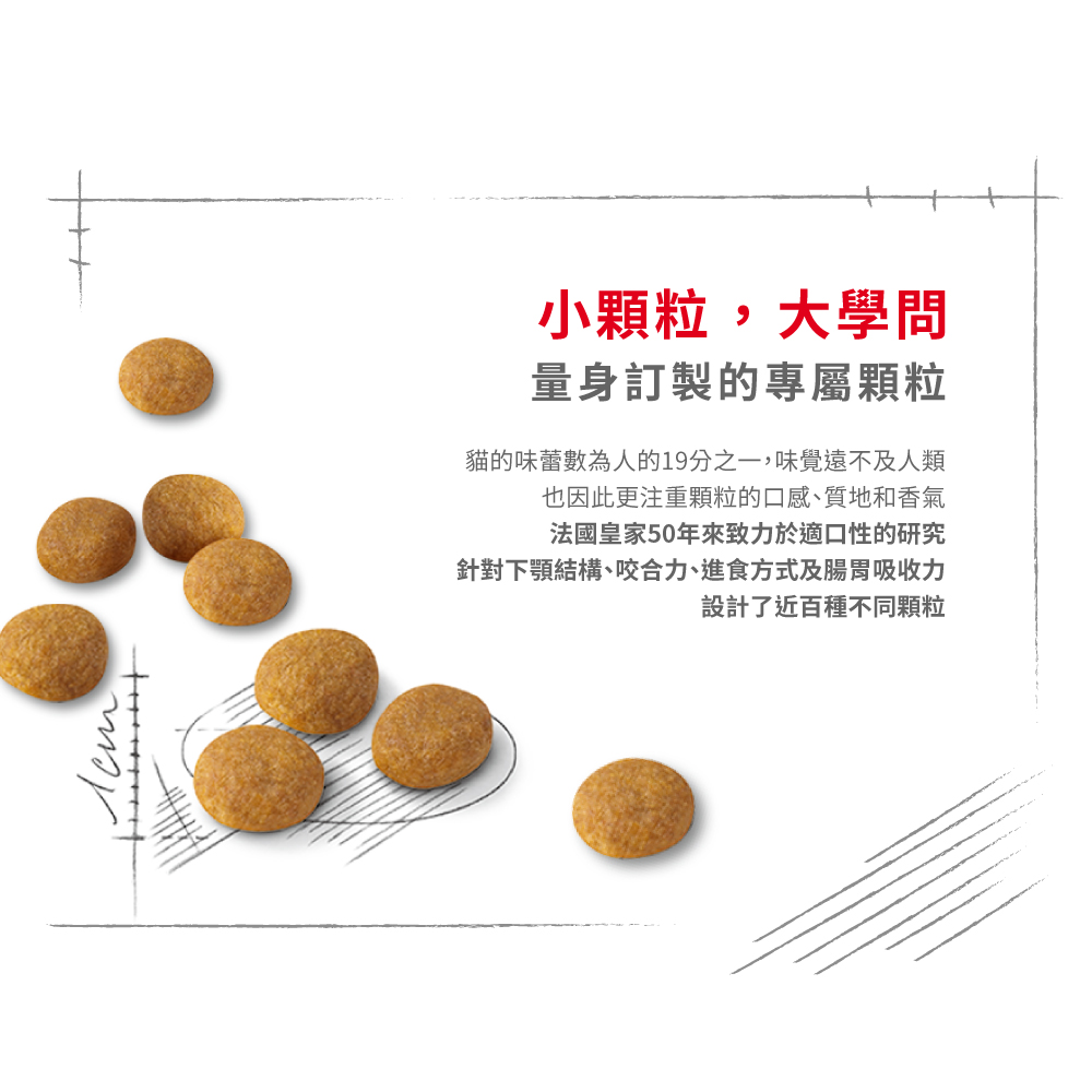 【拉拉寵物小舖】法國皇家 貓飼料 E33 挑嘴成貓濃郁香味乾糧 4公斤, , large
