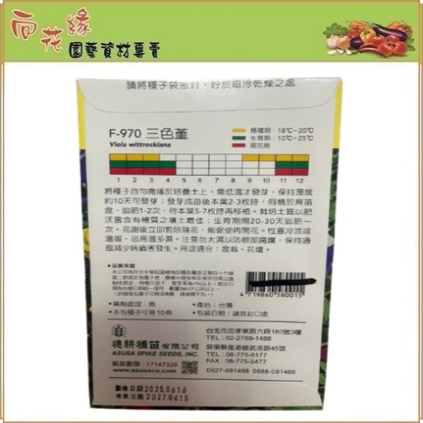 Skystar Pansy  &ndash; Flower Seeds, , large