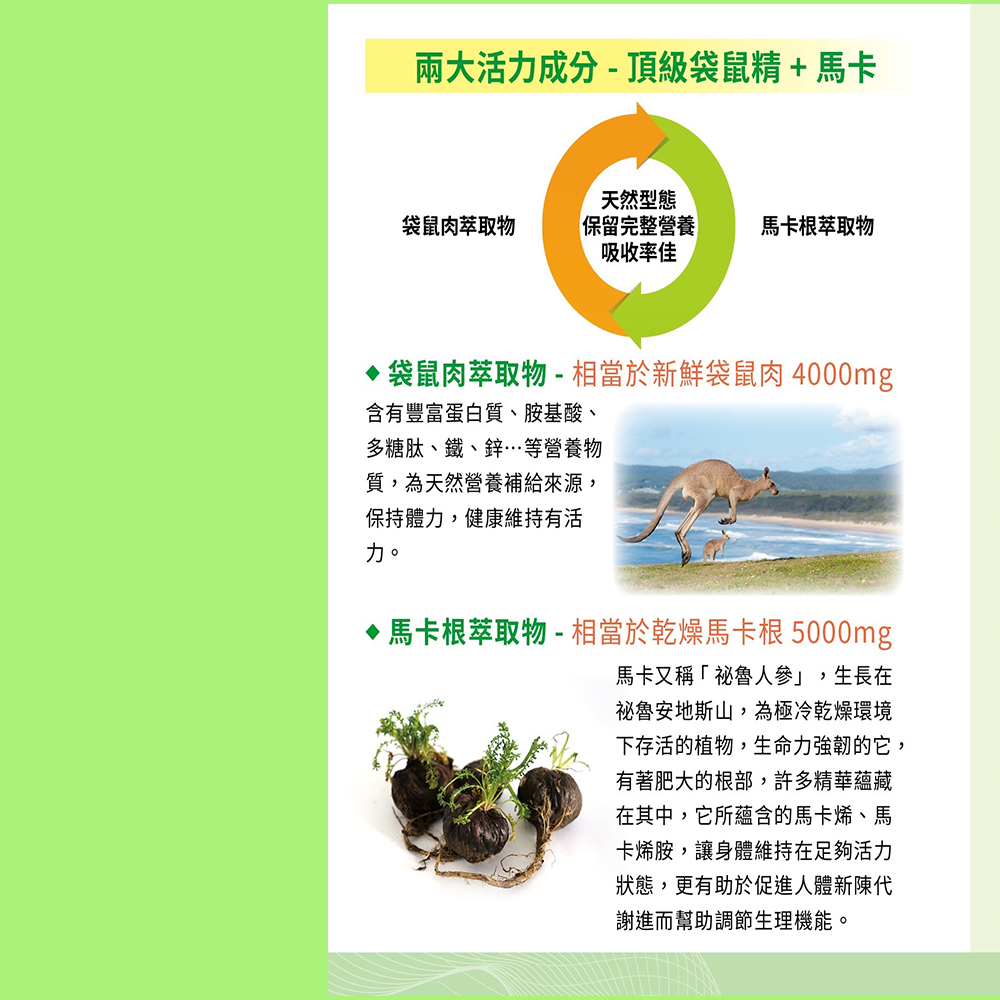 【澳洲澳倍美Belrose-即期品】頂級袋鼠精+ 馬卡膠囊-2026年5月31日到期(4入組  30顆/瓶), , large