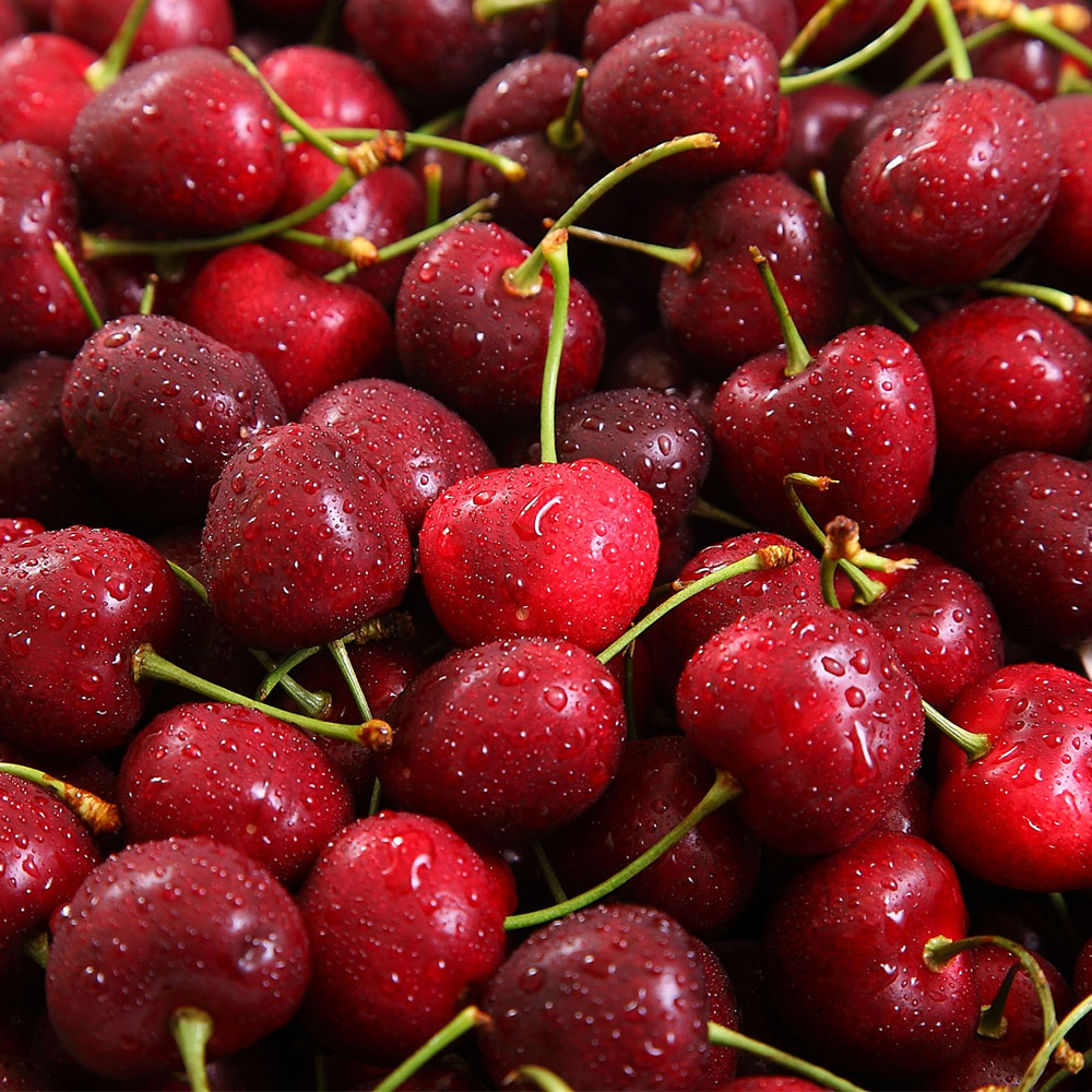 Northwest USA 9.5Row Cherry Gift Box, , large