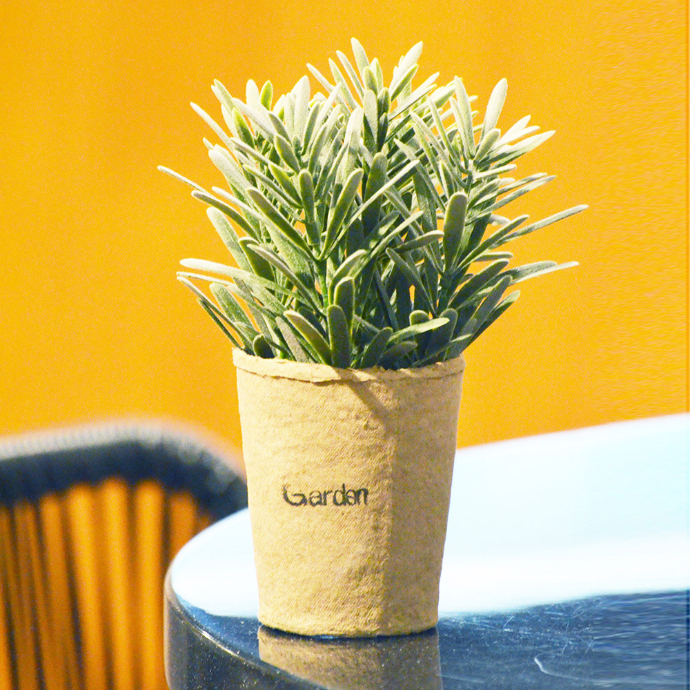 ARTIFICIAL PLANT-DUSTY MILLER, , large