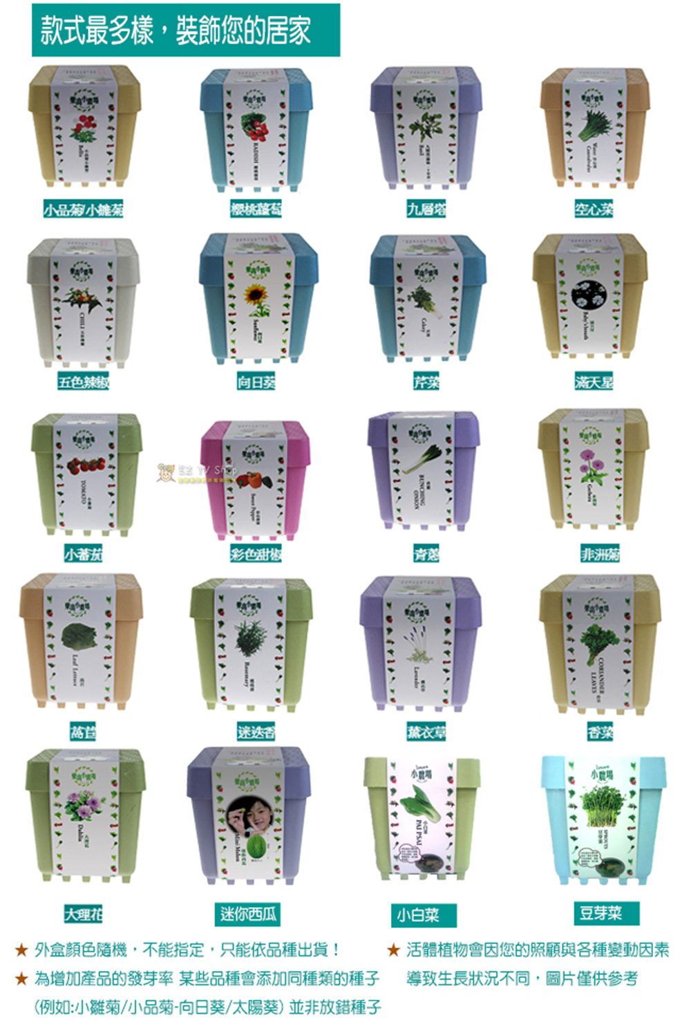 【心安購物】iPlant積木盆栽-小蕃茄, , large