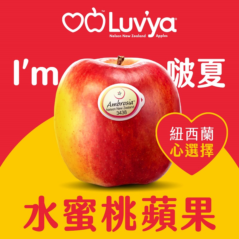 Ambrosia Apple#90, , large