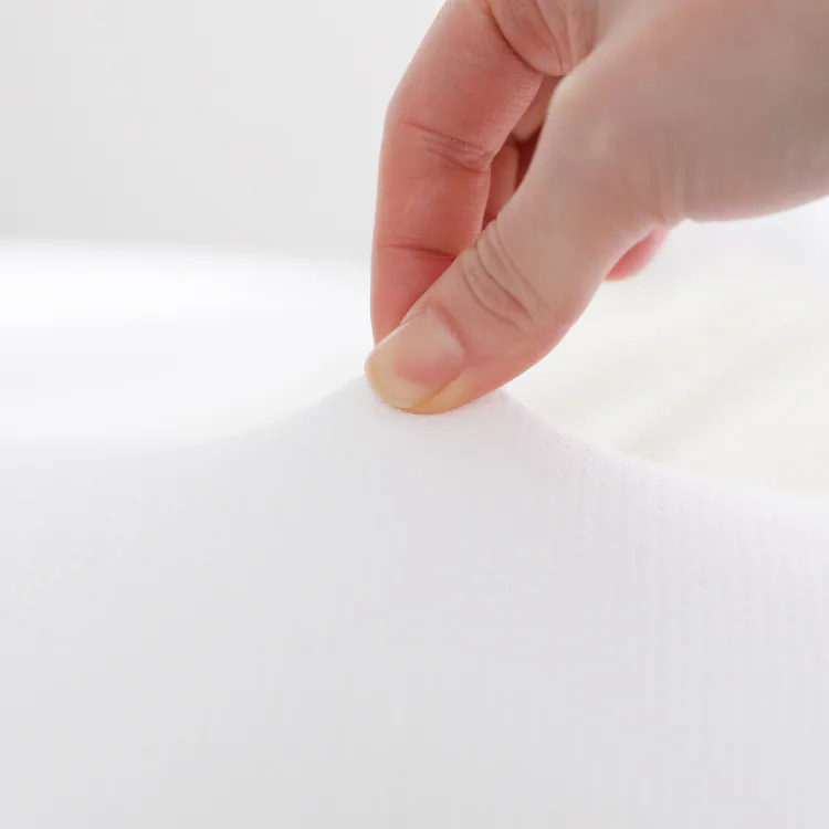 silver-ion-spring-pillow, , large