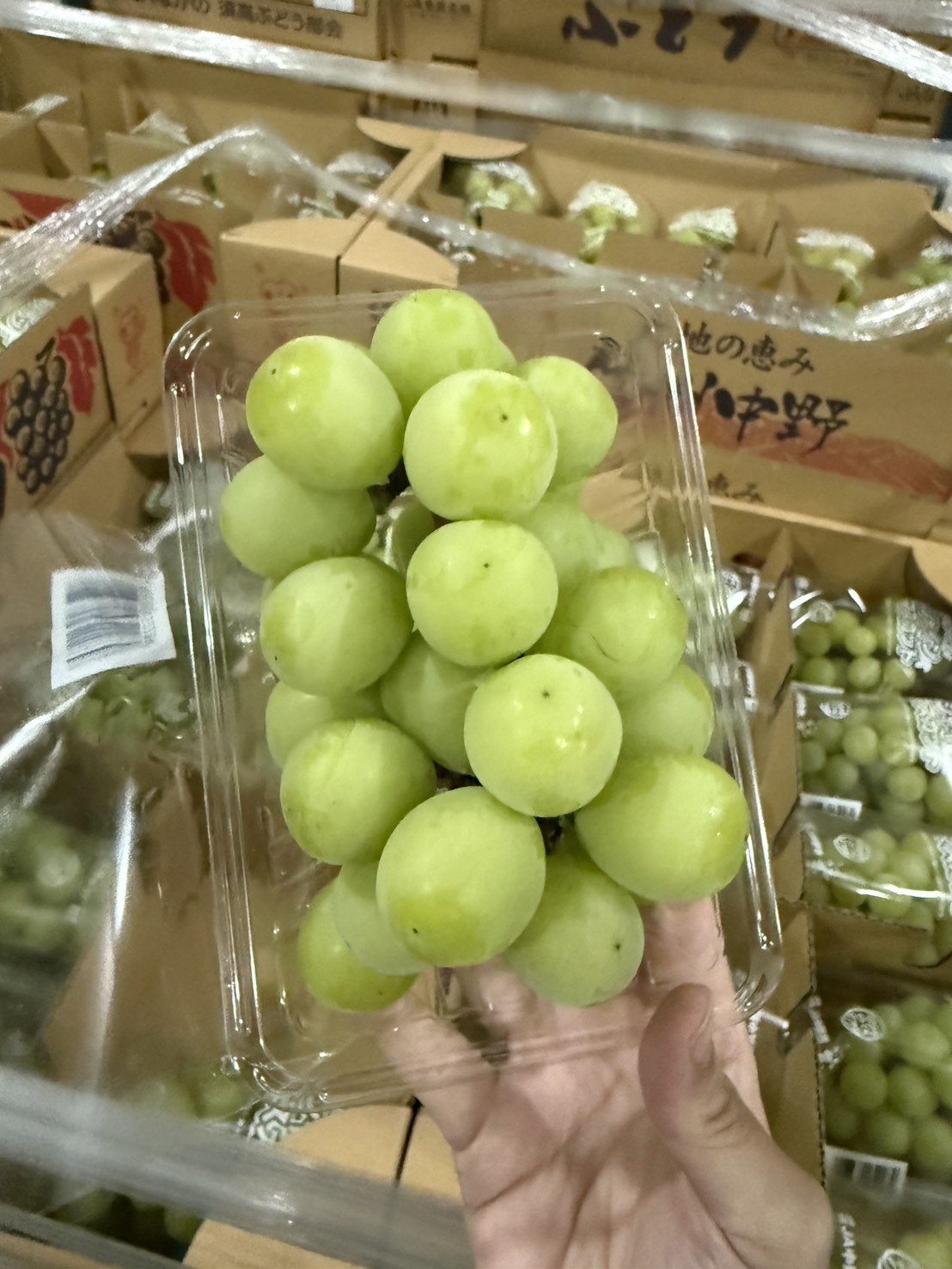 Nagano, Japan (Shine Muscat Grapes), , large