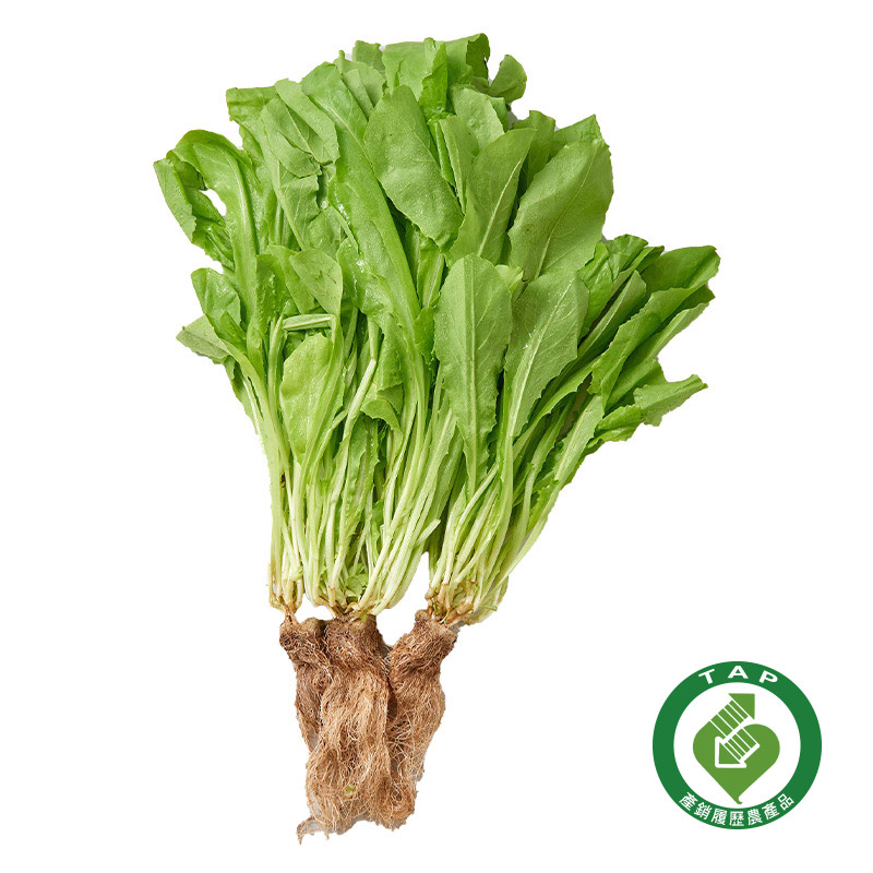 CFPLB Chinese Lettuce, , large