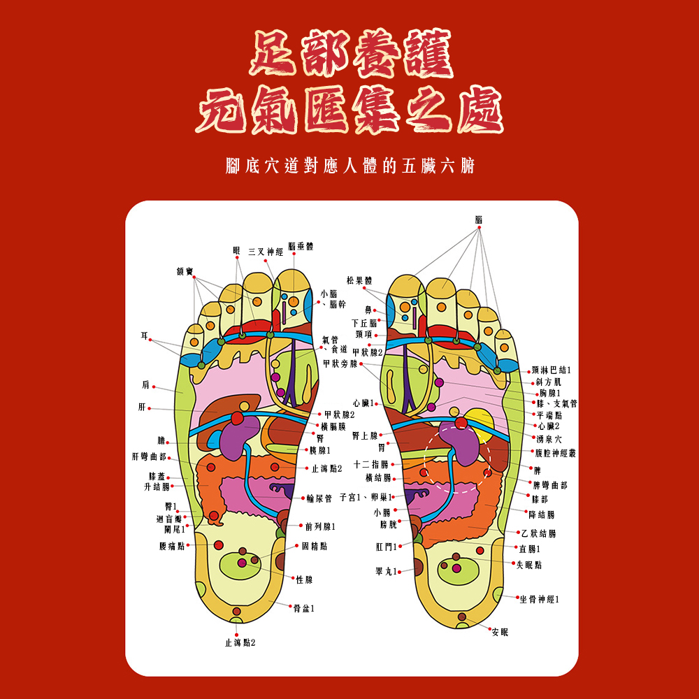 Nanjing Tongrentang Ginger & Mugwort Foot Patches / 50pcs / Box (1 Box), , large