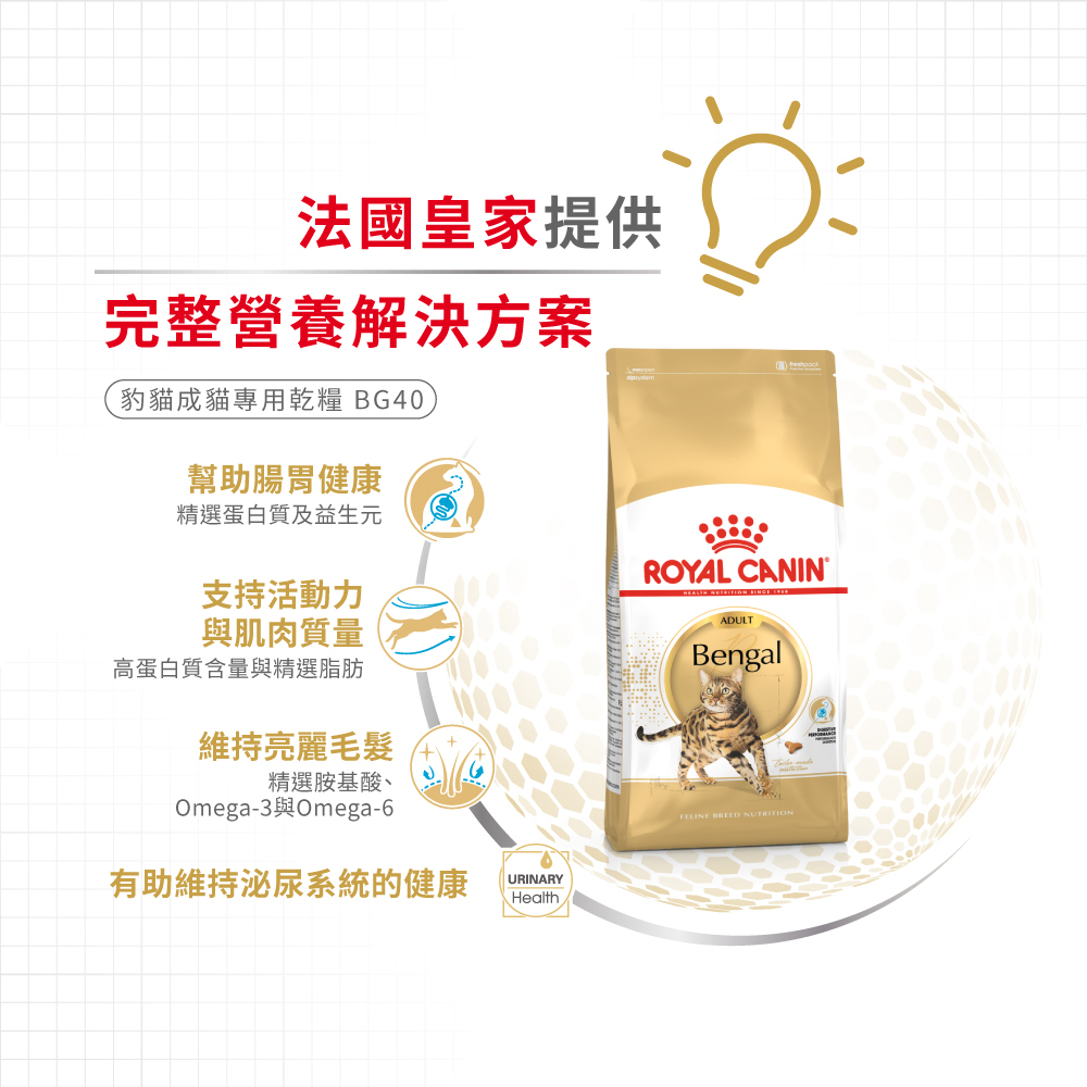 【Royal Canin法國皇家】豹貓成貓專用乾糧BG40, , large