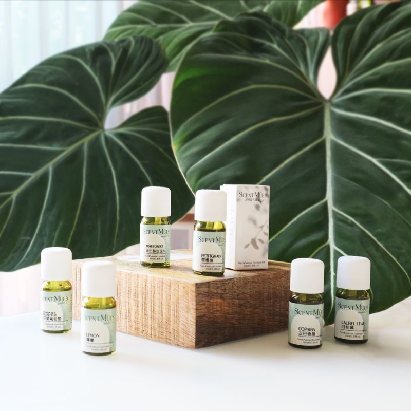 【ScentMûes森繆斯】紅寶石葡萄柚精油, , large