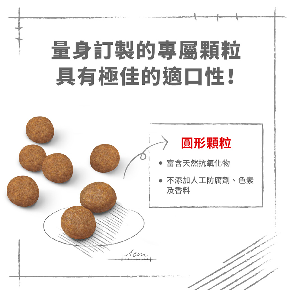 Royal Canin法國皇家 皇家大型幼犬MXP, , large