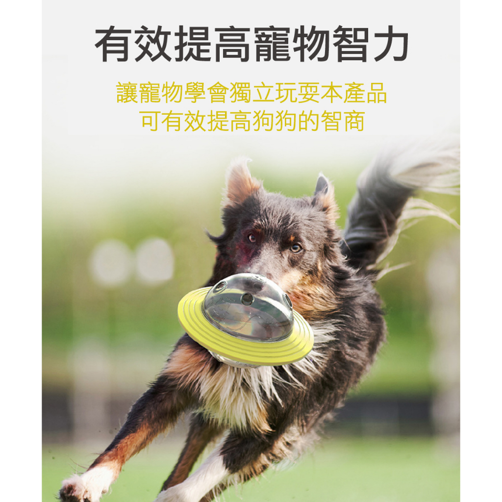 【P&H寵物家】狗狗不倒翁漏食餵食器 飛盤玩具(磨牙玩具 漏食玩具 寵物玩具 狗狗玩具), 湖藍色, large
