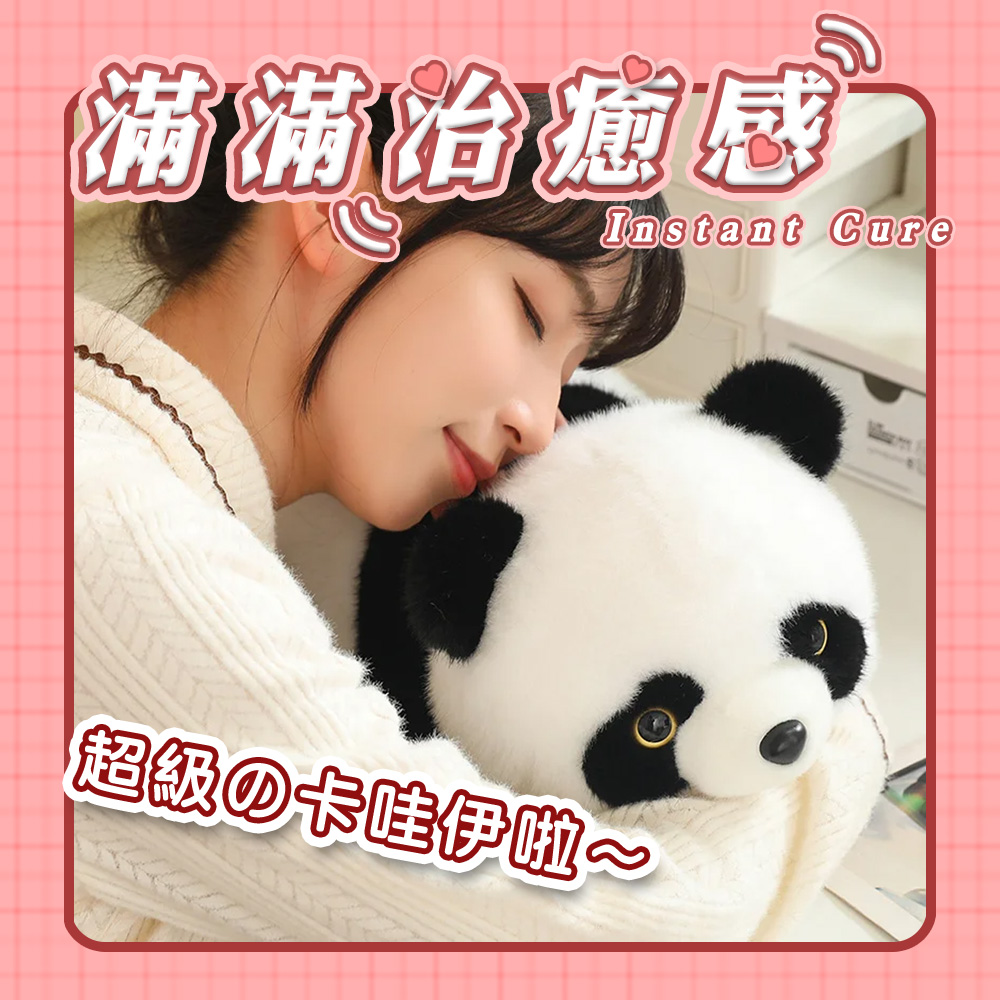 【啾愛你】雙面翻轉變身浣熊熊貓 25cm, , large