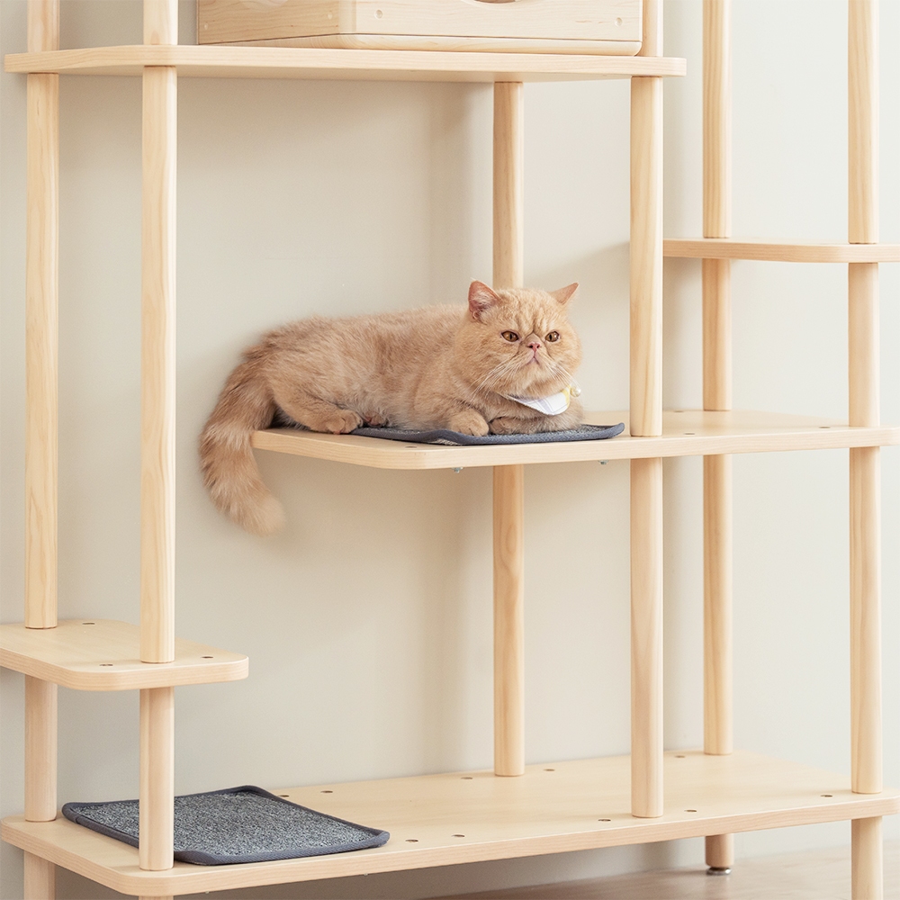 【paipaipets】Bien Bien Cat Tree - Short-Legged Cat Standard Jumping Platform, , large