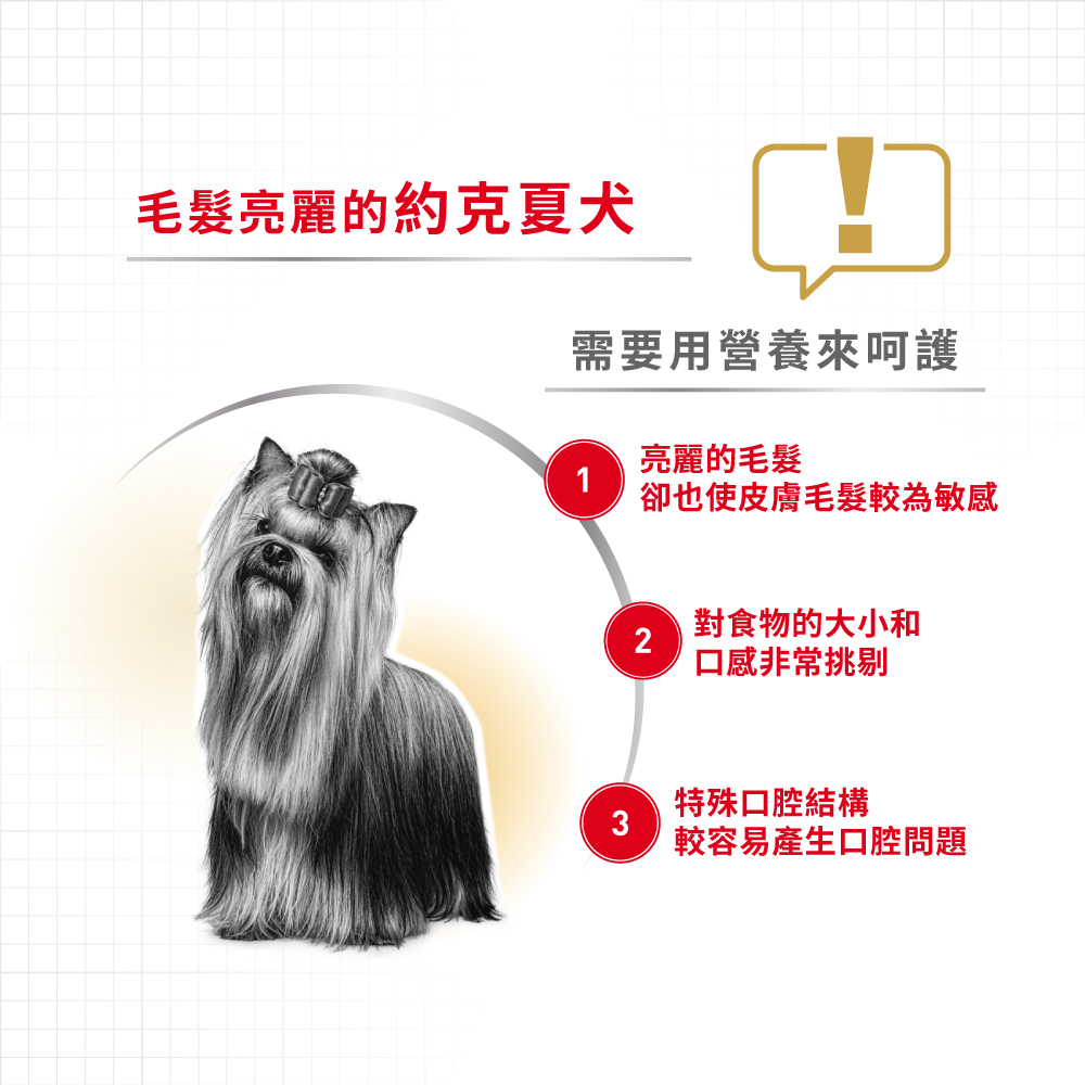 Royal Canin Yorkshire Terrier Adult YSA , , large