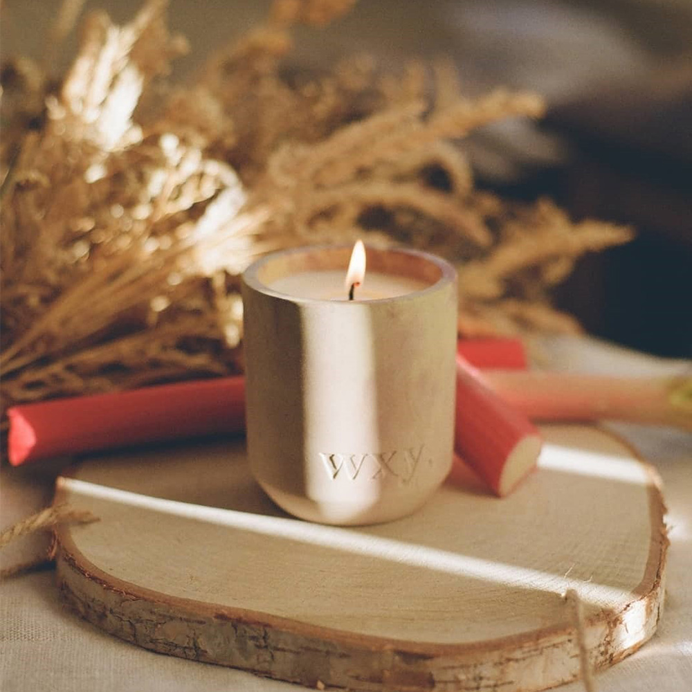 wxy Studio2 - Coriander + Cedar, , large