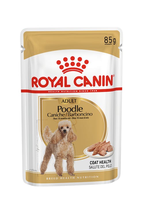 【拉拉寵物小舖】法國皇家 狗主食餐包 PDW 貴賓犬主食濕糧 狗主食濕糧