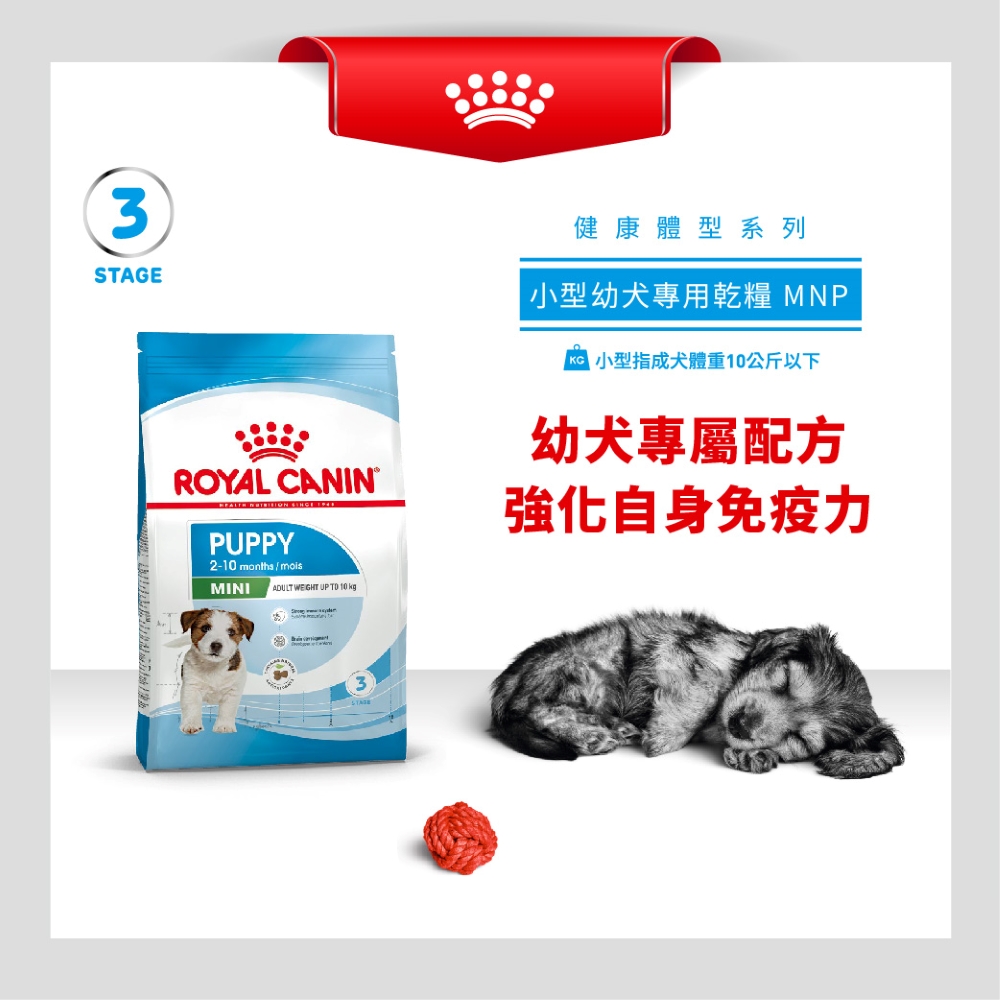 【拉拉寵物小舖】法國皇家 狗飼料 MNP 小型幼犬專用乾糧 2公斤, , large