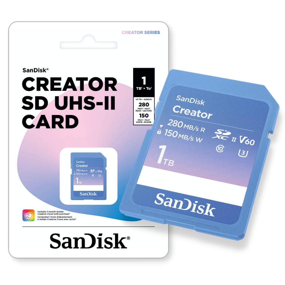 SanDisk SD card, , large