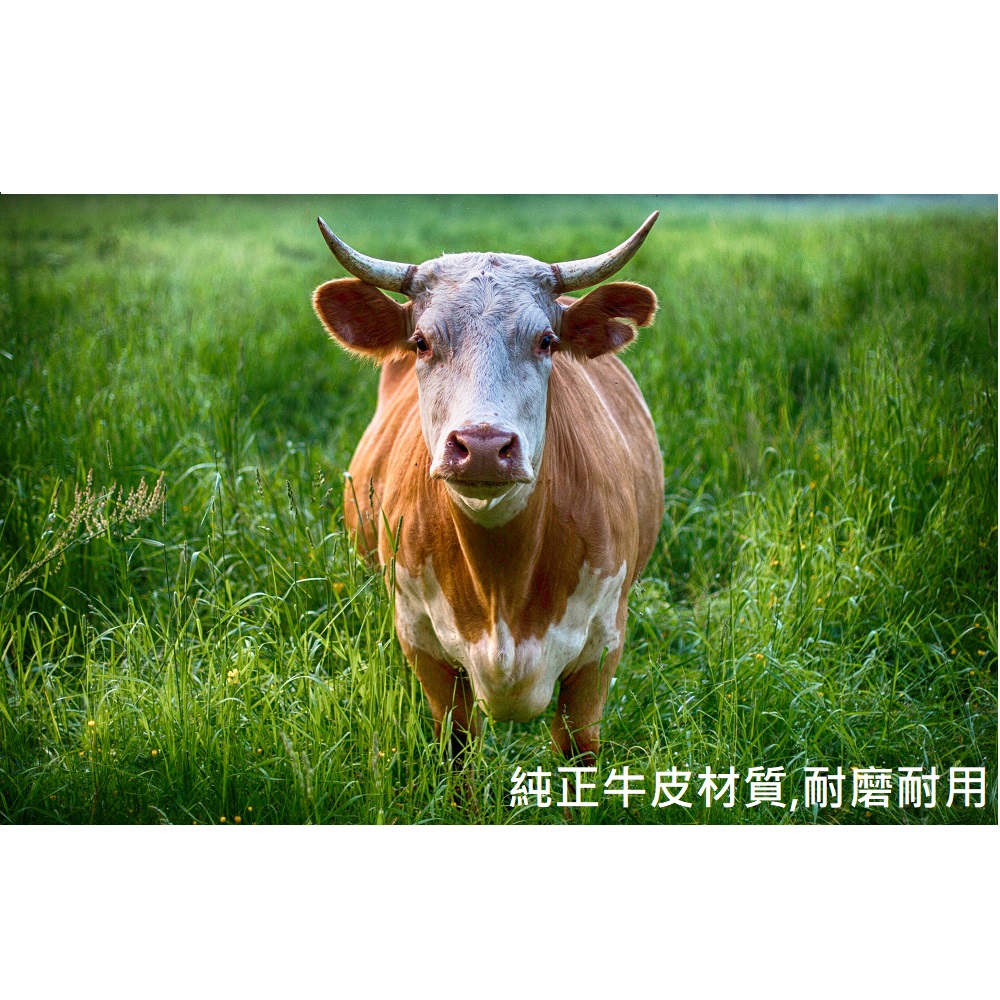 【CAR WAY】牛魔王真皮方向盤套M(方向盤套 真皮 牛皮), , large