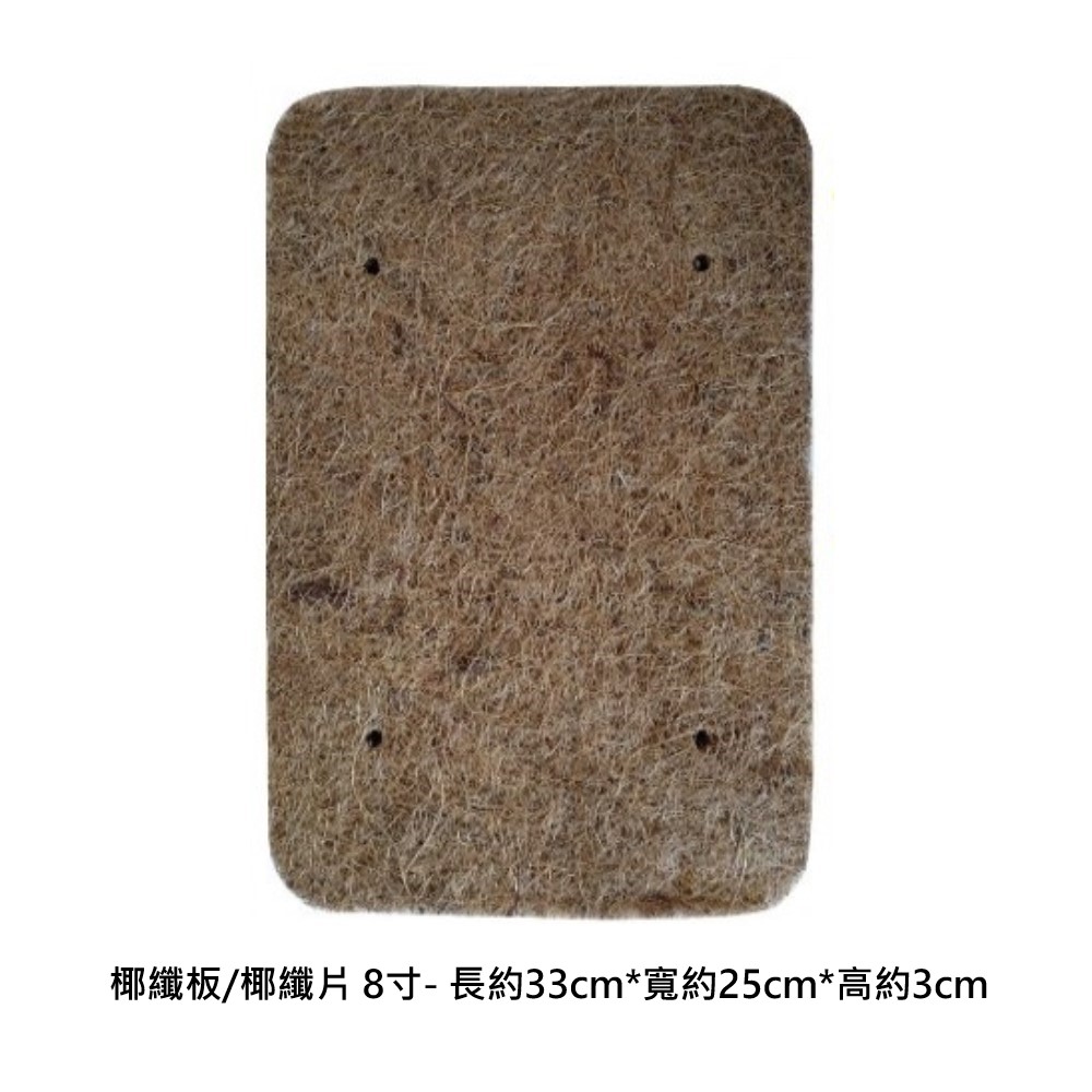 scoirfibre board 8 inch, , large