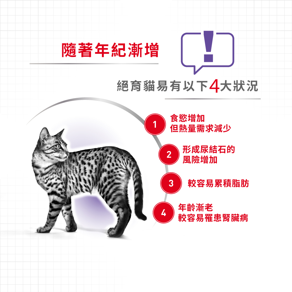 Royal Canin S36+ for Neutered Mature Cats 7+ Years, , large