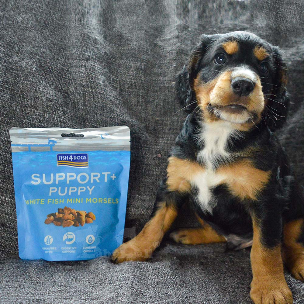 【倆寶貝精品館】海洋之星FISH4DOGS 機能強化魚餅-腸胃道(幼犬) 150gｘ２入《效期2026/09/25》, , large