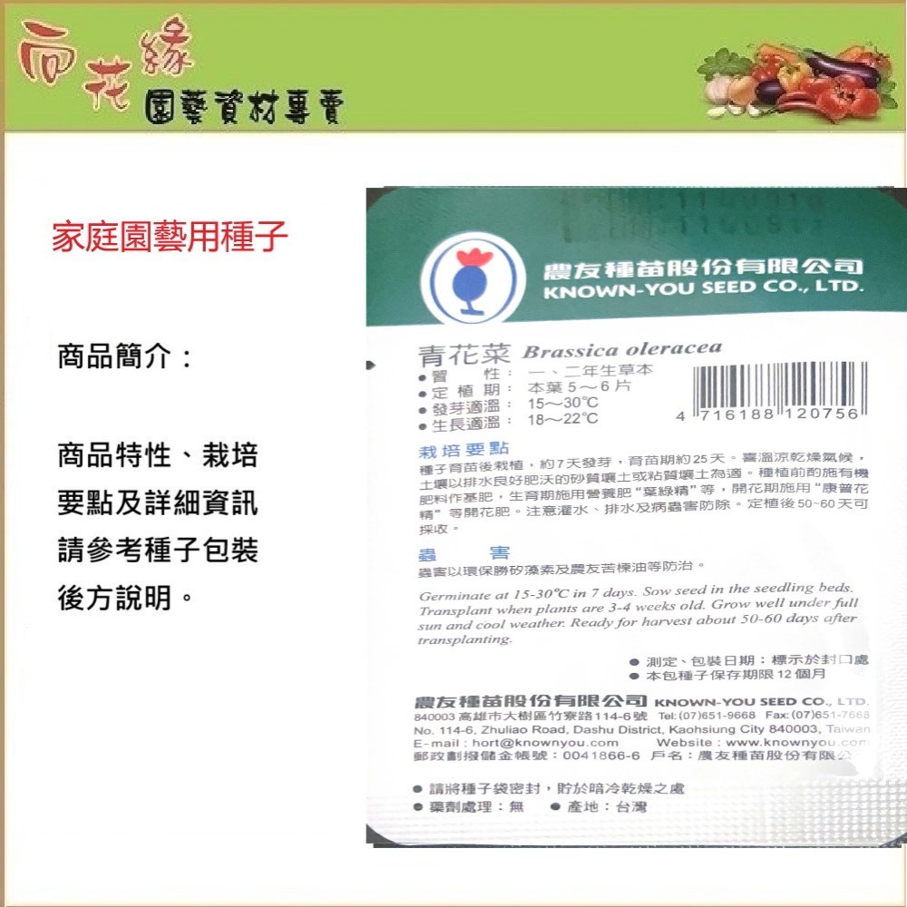 【向花緣】農友 青花菜 - 蔬菜種子, , large