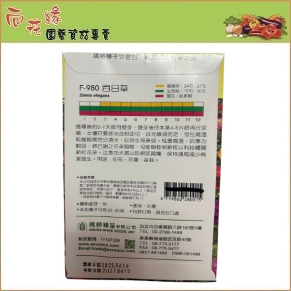 【向花緣】天星牌 百日草 - 花卉種子, , large