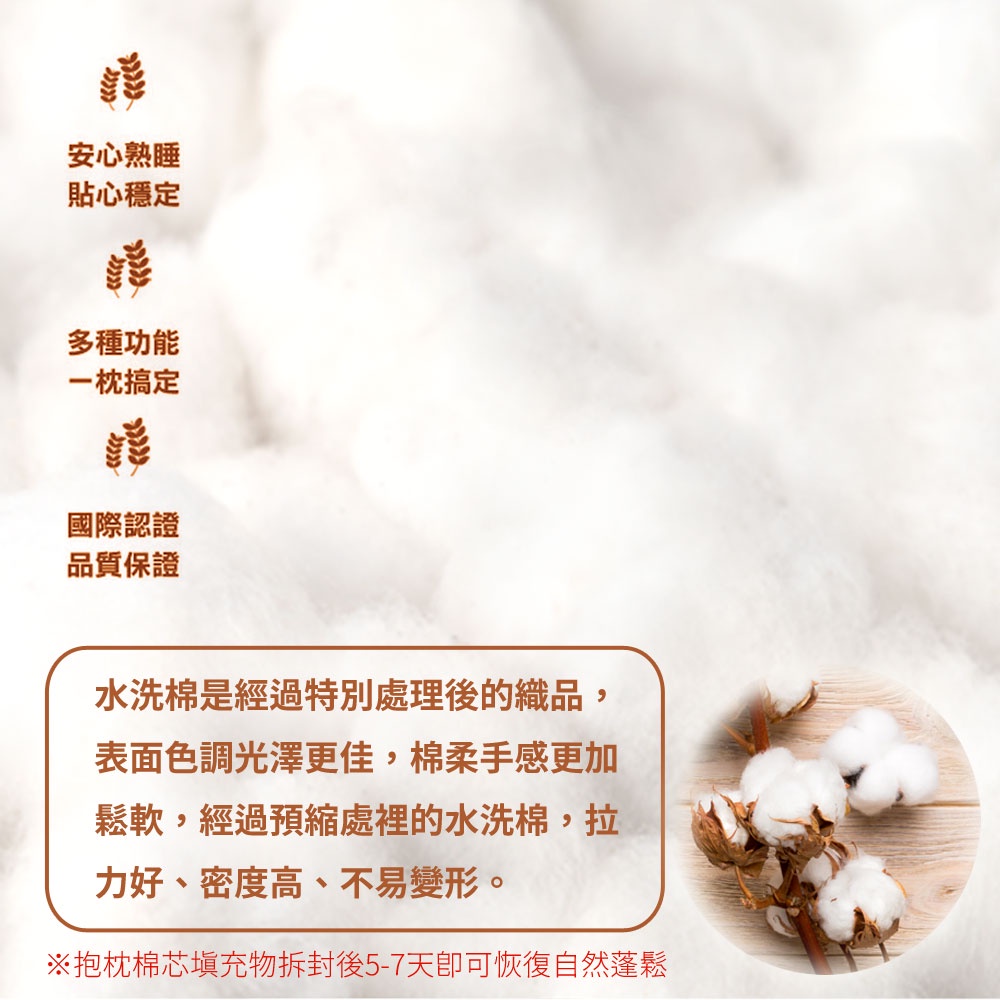 【日本旭川】AIRFit氧活力升級版多功能側睡輔助枕(大小超值組) 海馬枕 涼感 涼枕 長型抱枕 側睡枕 抱枕, , large