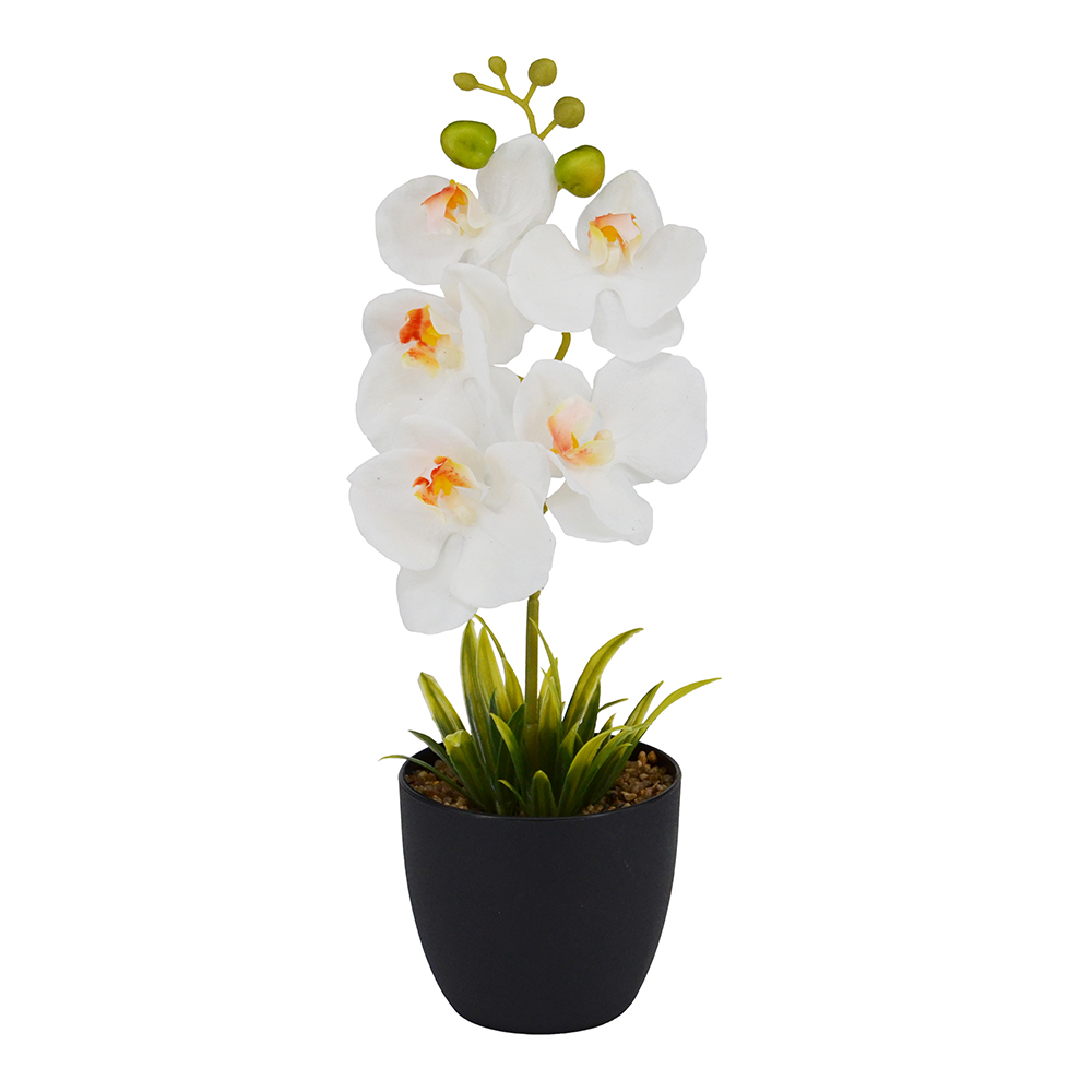 ARTIFICIAL PLANT W/BLACK POT-WHITE, , large