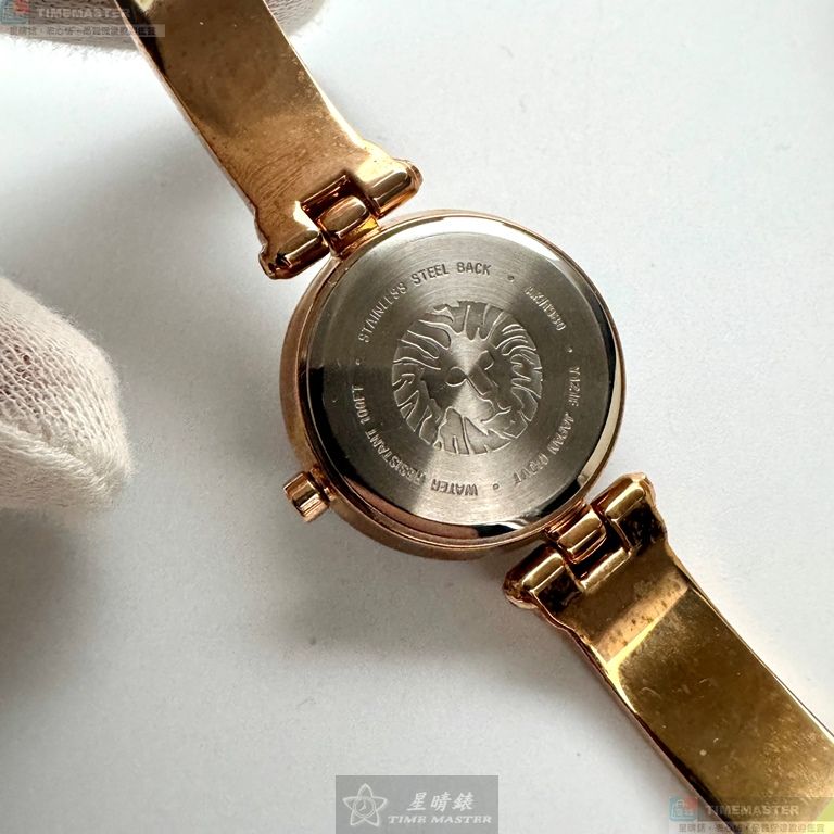 [TIMEMASTER] ANNE KLEIN watch, 28mm, AN00597, , large