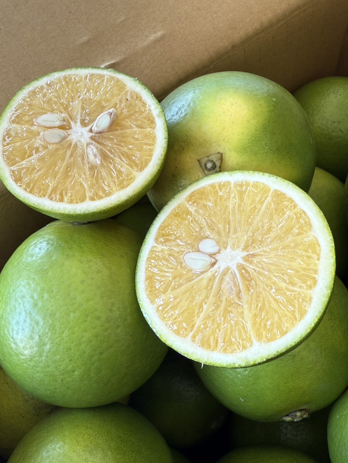 [芯鮮果]台灣嚴選( 柳丁 ), , large