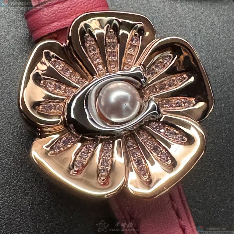 [TIMEMASTER] COACH watch, 28mm, CH00178, , large