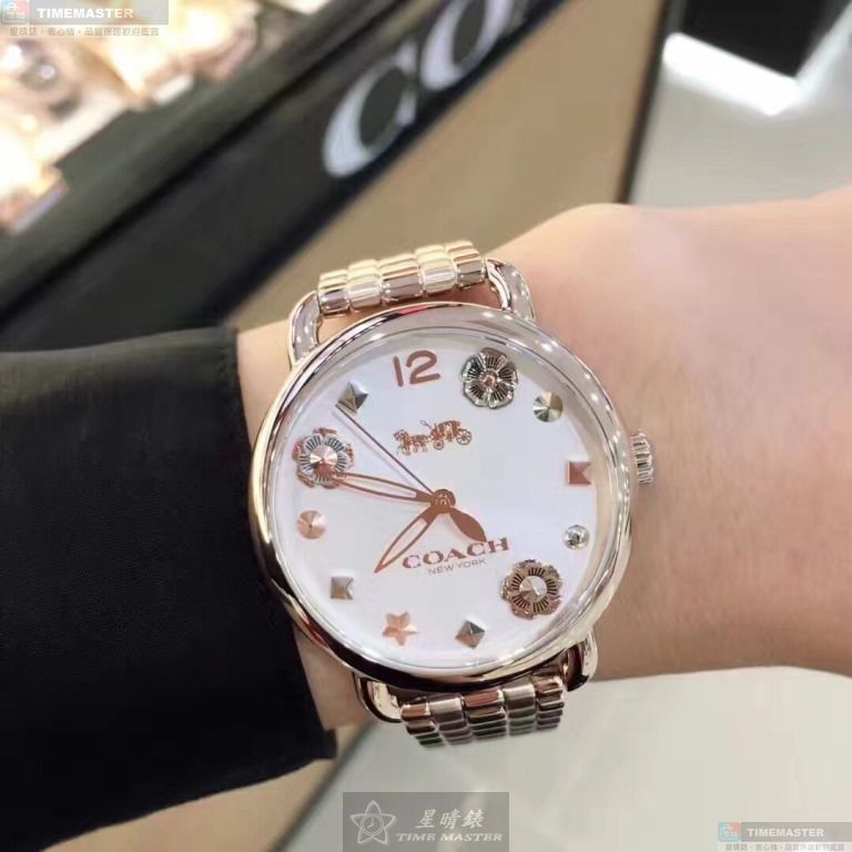 [星晴錶業]COACH手錶,36mm,CH00036白色錶面玫瑰金錶殼玫瑰金色精鋼錶帶款, , large