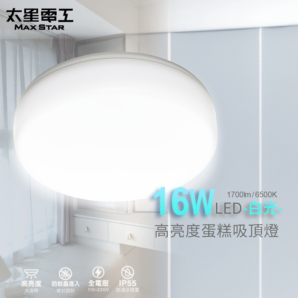 【Max star】LED high brightness cake ceiling light 16W/white light, , large