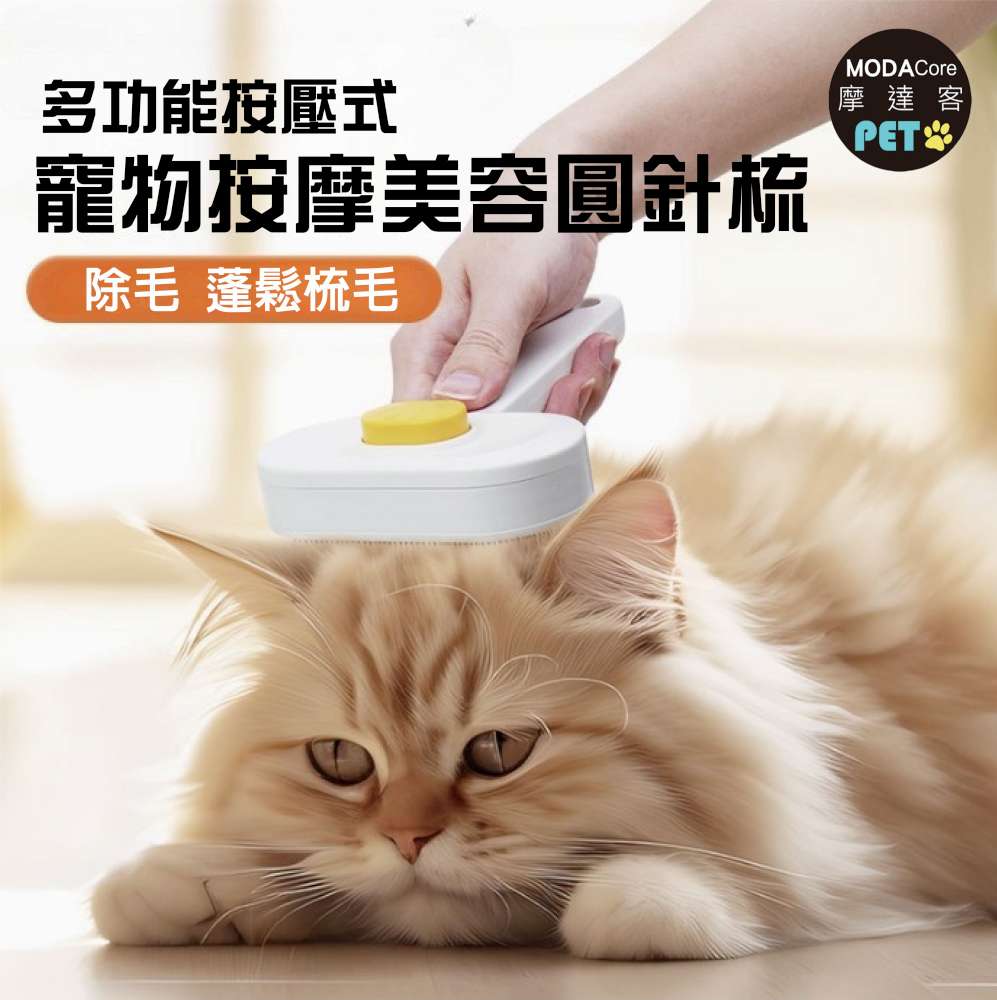 PETS, , large