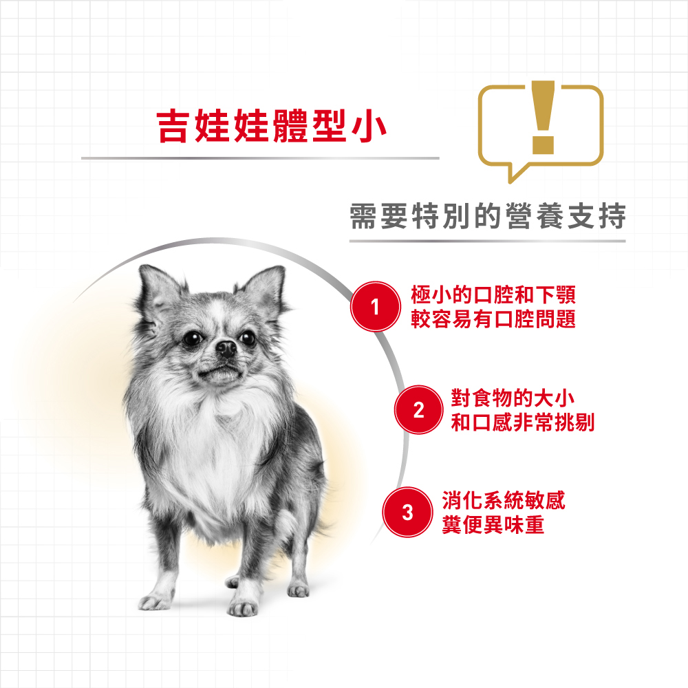 Royal Canin Chihuahua Adult CHA, , large