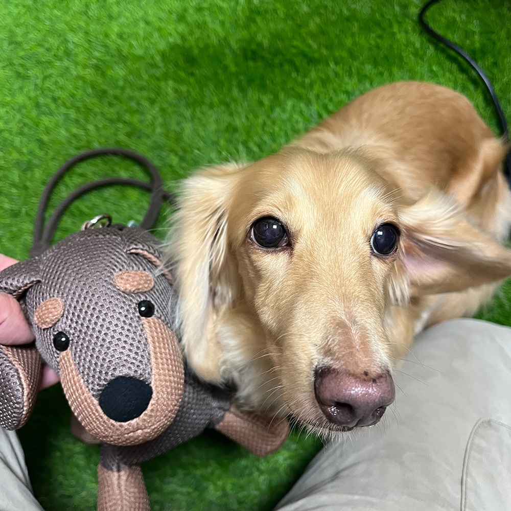 【可愛造型 獨家設計 可機洗 保固】臘腸狗 斜背包 側背包 斜背包女 側背包女 可愛包包 禮物, , large